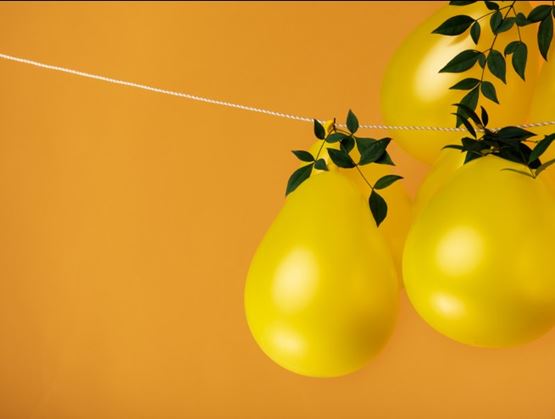Lemon shaped balloons