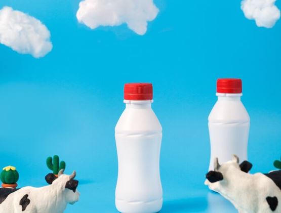 Bottles and cows