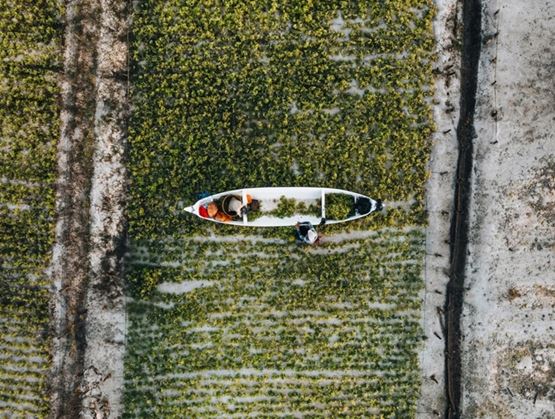 Aerial view of a small boat on shallow water, surrounded by aquatic vegetation and sandy strips.