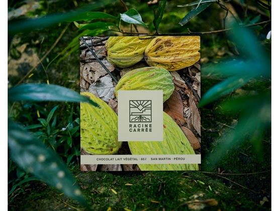 “Racine Carrée” chocolate bar photographed in nature, with cocoa pods in the background.
