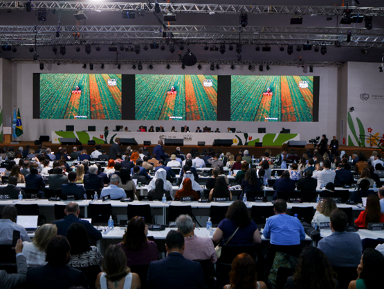 COP30 plenary session with delegates seated in a large conference hall, facing three screens displaying an agricultural landscape.
