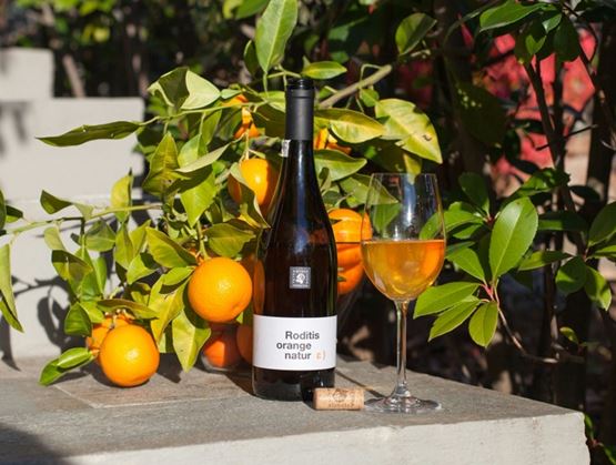 Bottle of white wine labeled “Roditis orange nature” and a filled glass placed on a ledge, surrounded by ripe oranges on a sunlit orange tree.
