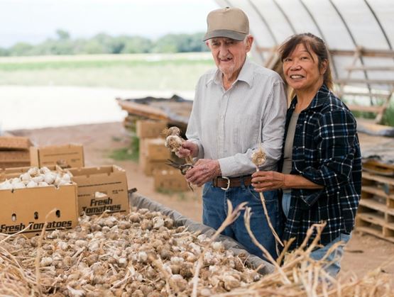 Un homme âgé et une femme tiennent des têtes d’ail fraîchement récoltées devant des caisses de légumes dans une exploitation agricole.