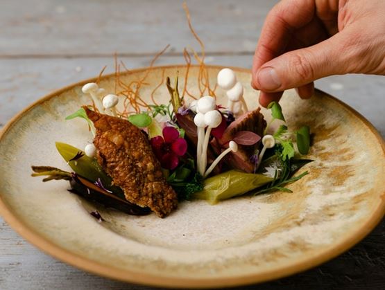 Gourmet dish with refined plating of vegetables, mushrooms, and a crispy element, being finished by a chef’s hand.