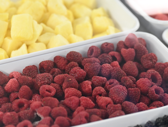 Bacs de fruits surgelés contenant des framboises, des mûres, des morceaux d’ananas et des fruits rouges.