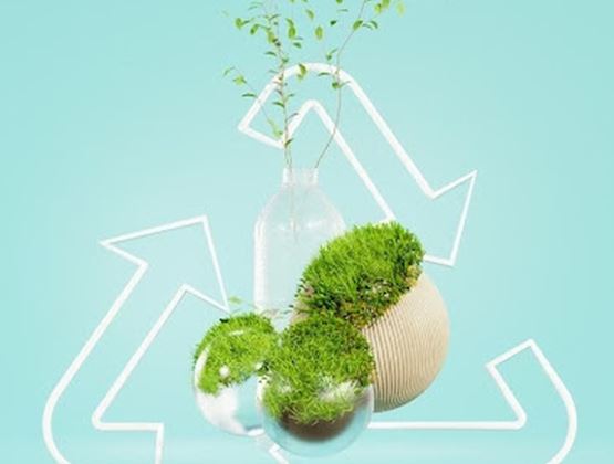 Recycling illustration with arrows, plants, and moss, symbolizing the circular economy and sustainable development.