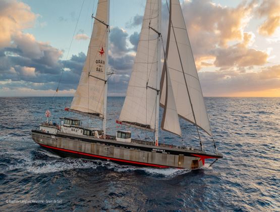 Sailing cargo vessel navigating across the ocean at sunset, illustrating wind-powered maritime freight.
