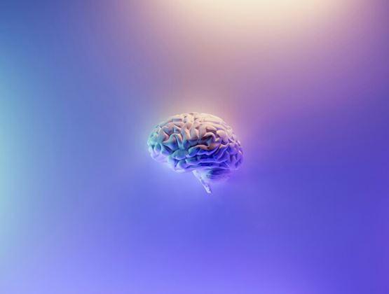 Human brain floating against a soft blue, purple and pink gradient background.