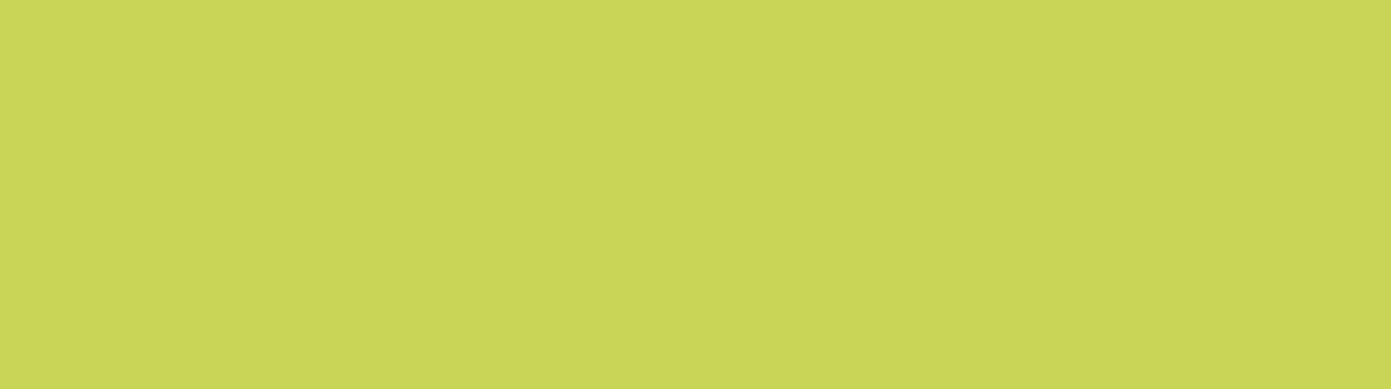 Banner kiwi