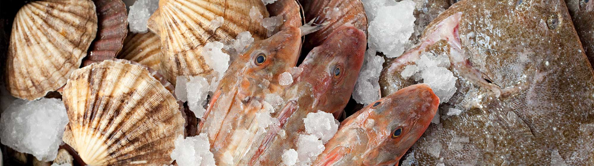 SIAL-Paris-innovations-seafood-market