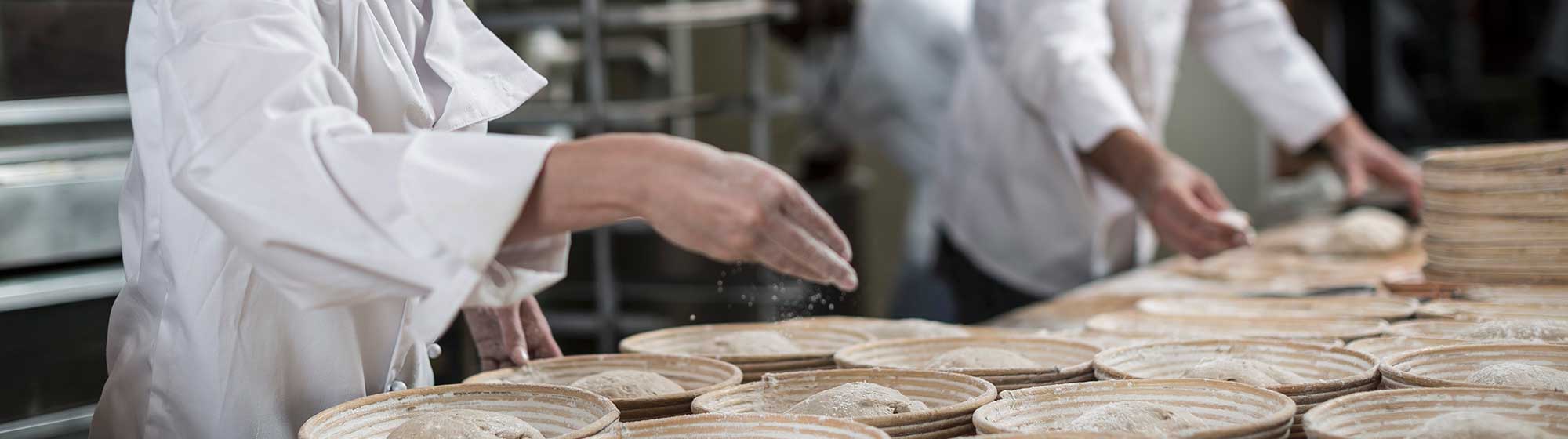 Food-sectors–Food-Processing