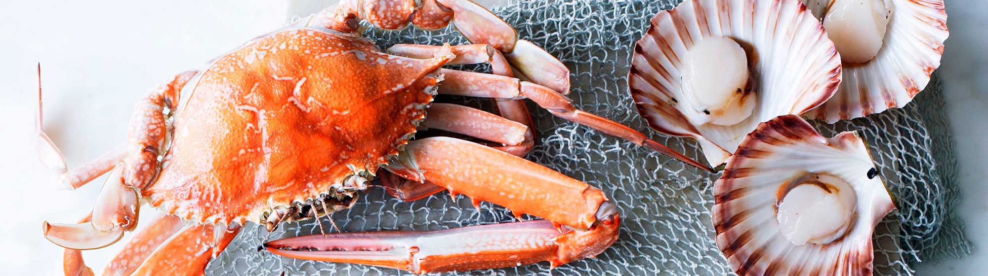 Food-sectors–Seafood