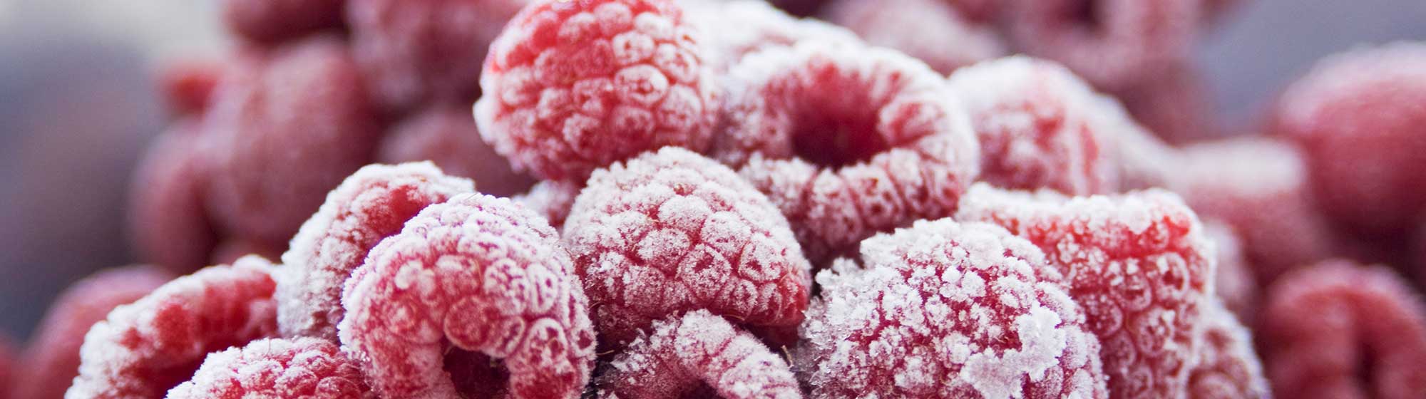 Les-secteurs-de-l-alimentation–Produits-surgeles