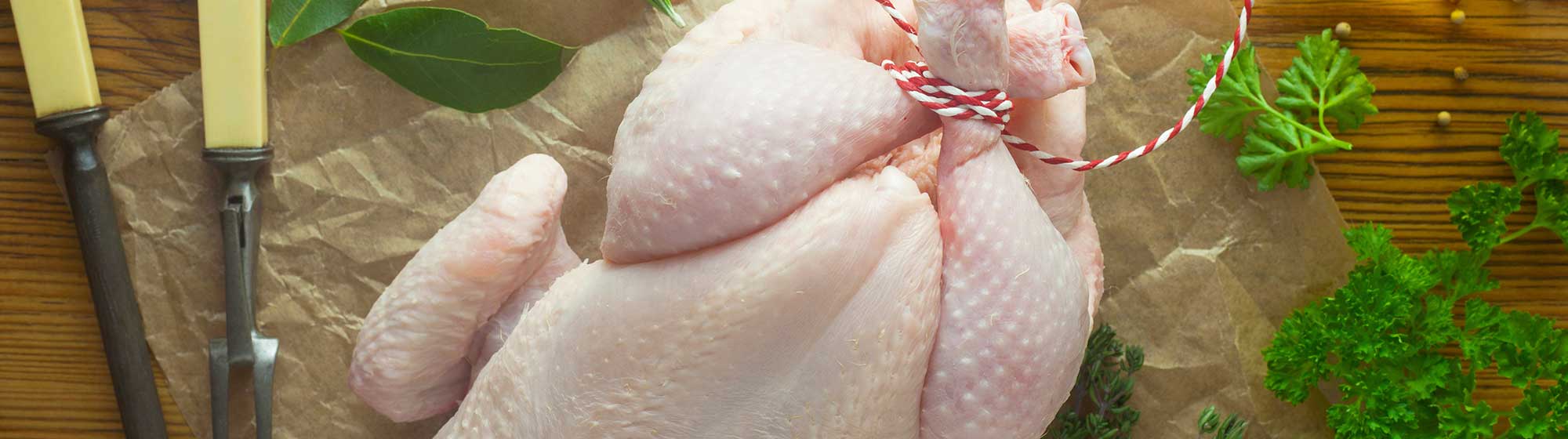 The-food-sectors–Poultry