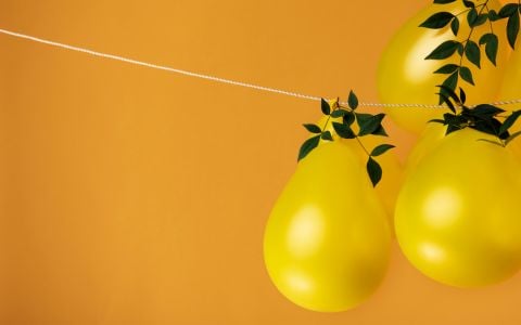 Yellow balloons and leaves