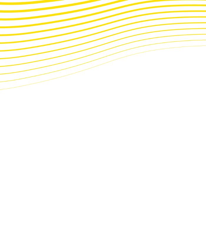 White background with wavy yellow lines crossing the top of the image, illustrating a fluid and modern design.