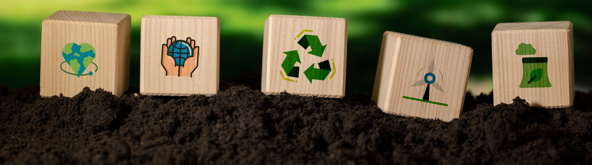 dés avec des inscriptions pour recycler