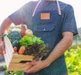 Organic vegetables with a farmer
