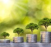 Growing stacks of coins with trees