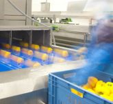 Machine agroalimentaire