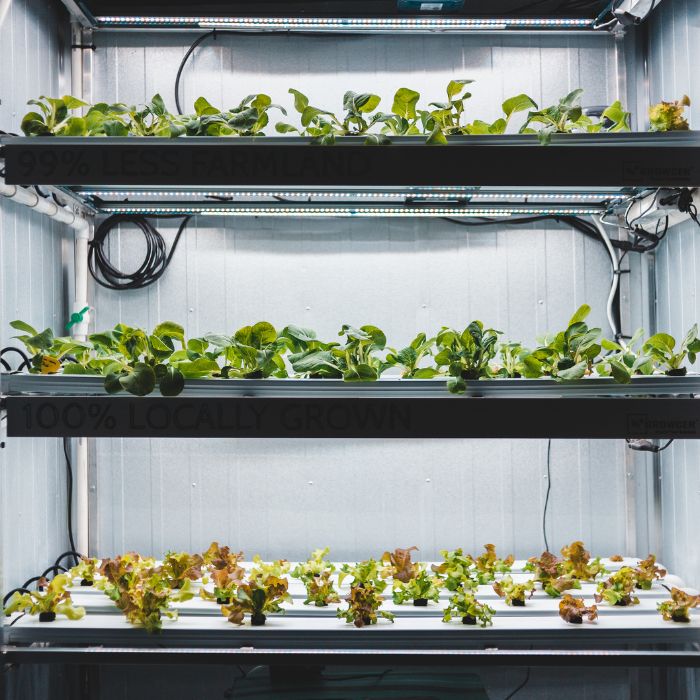 Indoor vertical farming with shelves hosting lettuce plants and light panels displaying '99% less farmland' and '100% locally grown'.