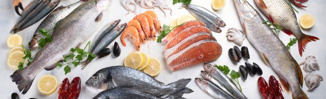 Différents poissons