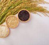 Rice in different forms