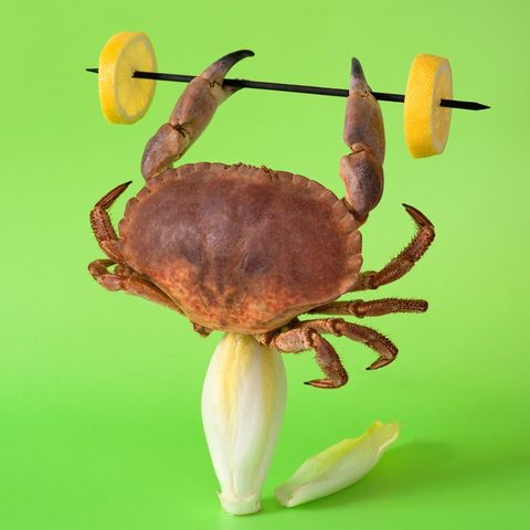Un crabe tenant un haltère composé de rondelles de citron, sur un fond vert vif.
