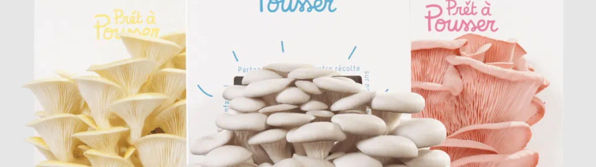 3 différents produits de prêt à pousser