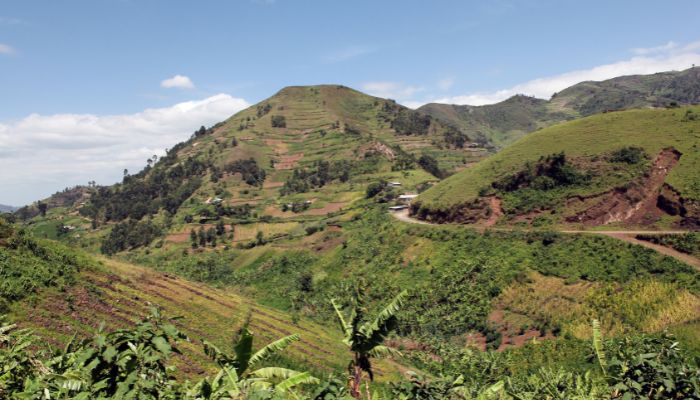 Africa