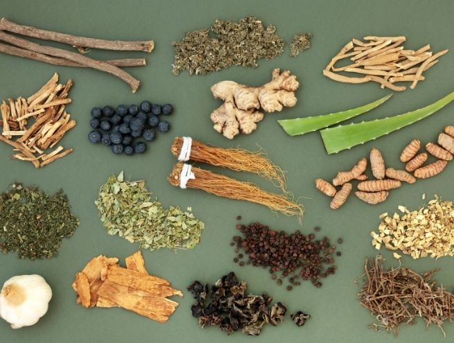 Assortiment d’ingrédients alimentaires adaptogènes disposés à plat sur fond vert.