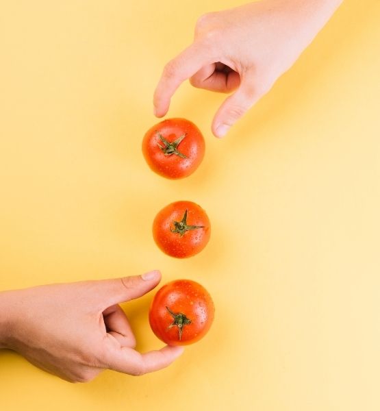 Three tomatoes aligned on yellow background with two hands reaching for them