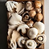 Panier en bois rempli de divers types de champignons, frais et coupés.