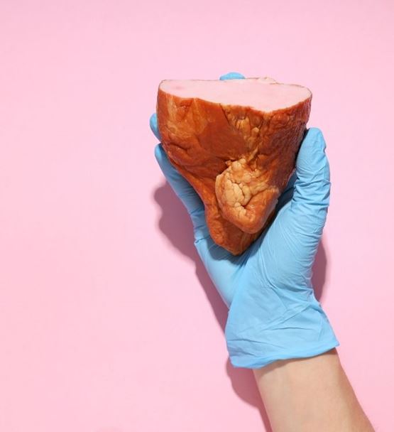 A piece of smoked meat