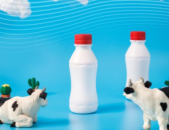 Figurines de vaches face à des bouteilles de lait en plastique sur un fond bleu, symbolisant les initiatives du secteur laitier en matière de durabilité et de sécurité alimentaire